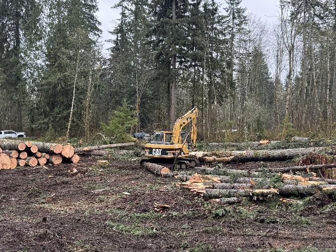 Land clearing and site prep in Duvall